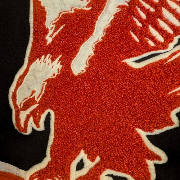 Off-white eagle temperature varsity jacket - Picture 9 of 14